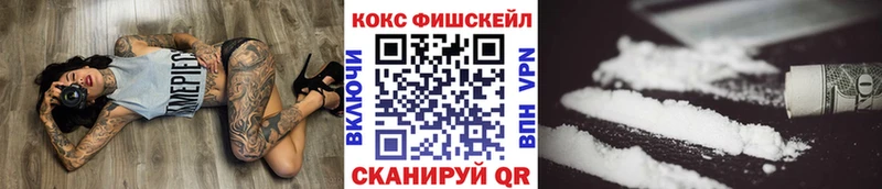 где купить   Нолинск  COCAIN VHQ 