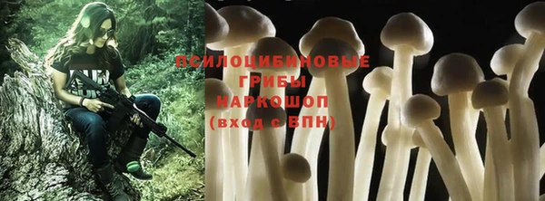 каннабис Бородино