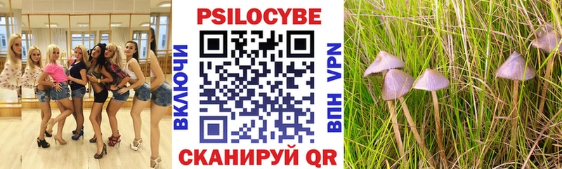 как найти закладки  Нолинск  Псилоцибиновые грибы Magic Shrooms 